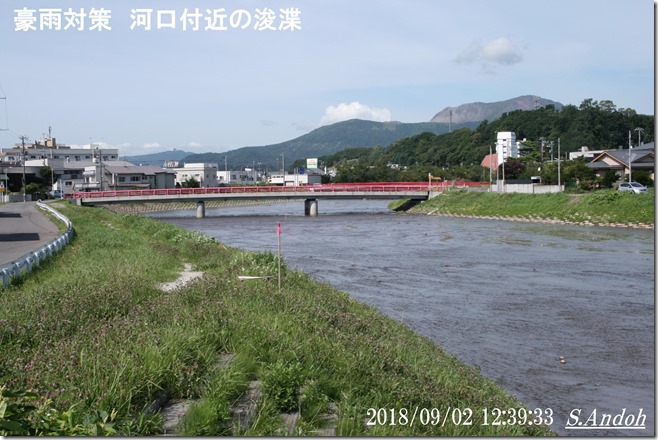 ヤナギと防災 ヤナギと防災